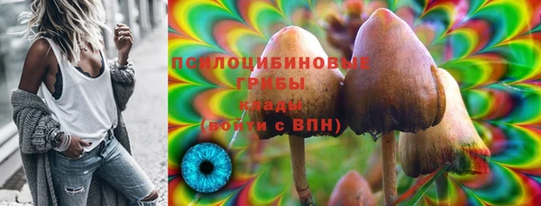бошки Армянск