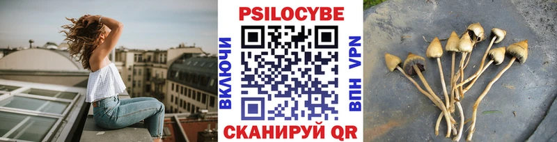 Псилоцибиновые грибы Cubensis  Баймак 